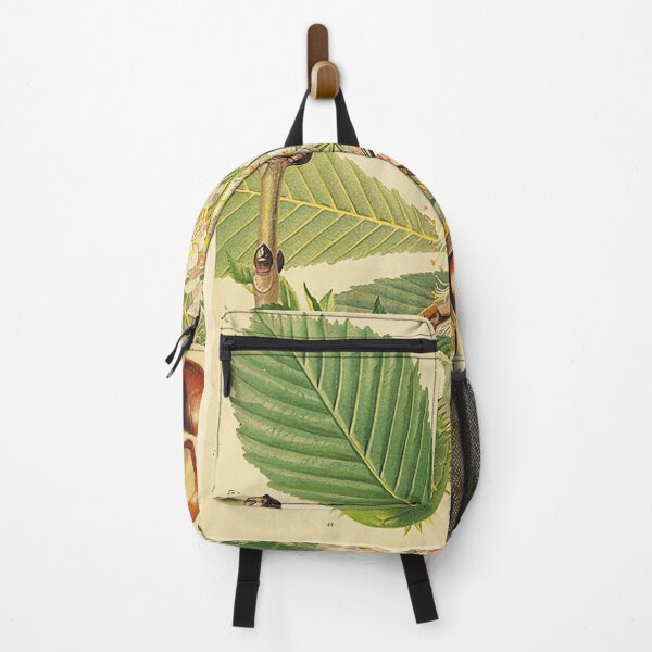 Item preview, Chestnut Life Cycle designed and sold by NatureLand.