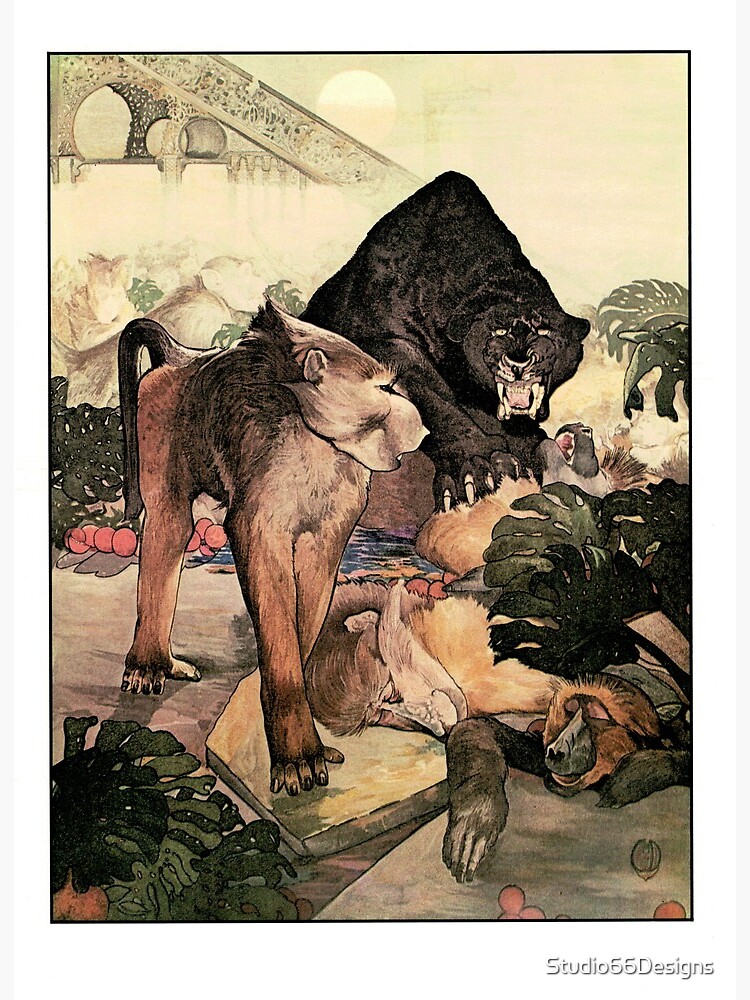 Monkey Pantherページ Monkey fight with black panther