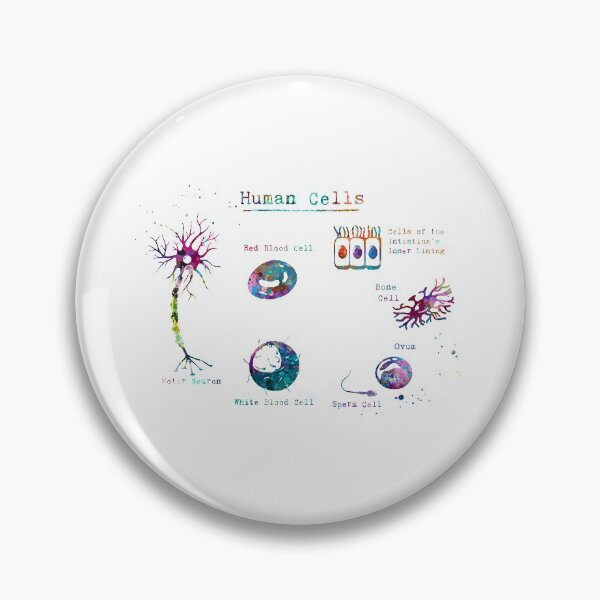 Item preview, Human Cell Types Anatomy designed and sold by EvasDreams.