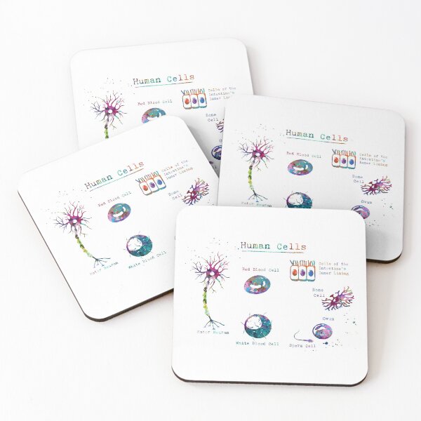 Item preview, Human Cell Types Anatomy designed and sold by EvasDreams.