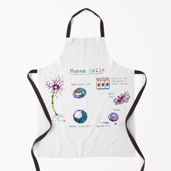 Item preview, Human Cell Types Anatomy designed and sold by EvasDreams.