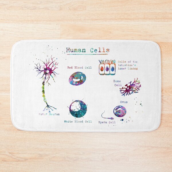Item preview, Human Cell Types Anatomy designed and sold by EvasDreams.