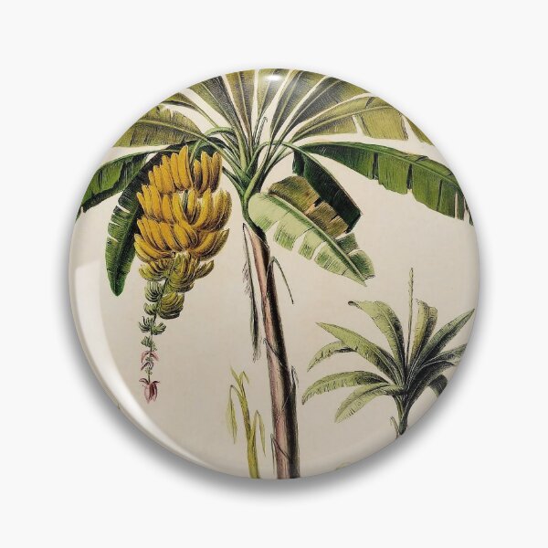 Aperçu de l'œuvre Cycle de vie de la banane I créée et vendue par NatureLand.