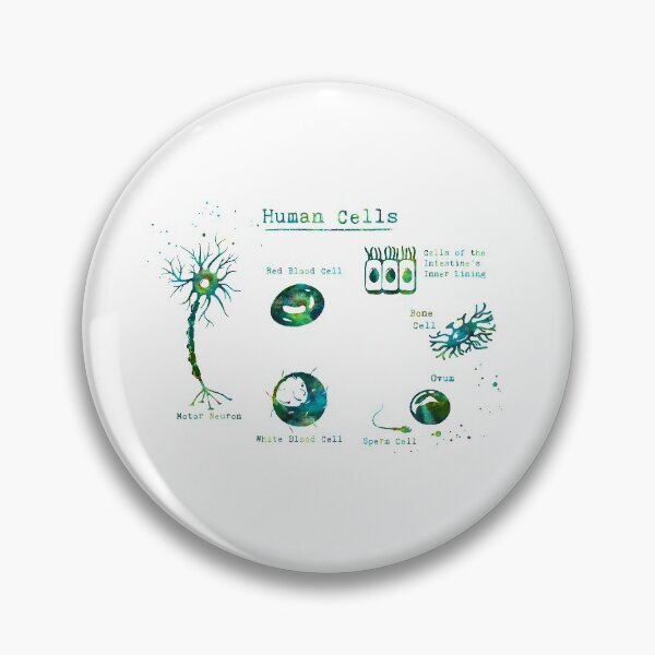 Item preview, Human Cell Types Anatomy designed and sold by EvasDreams.