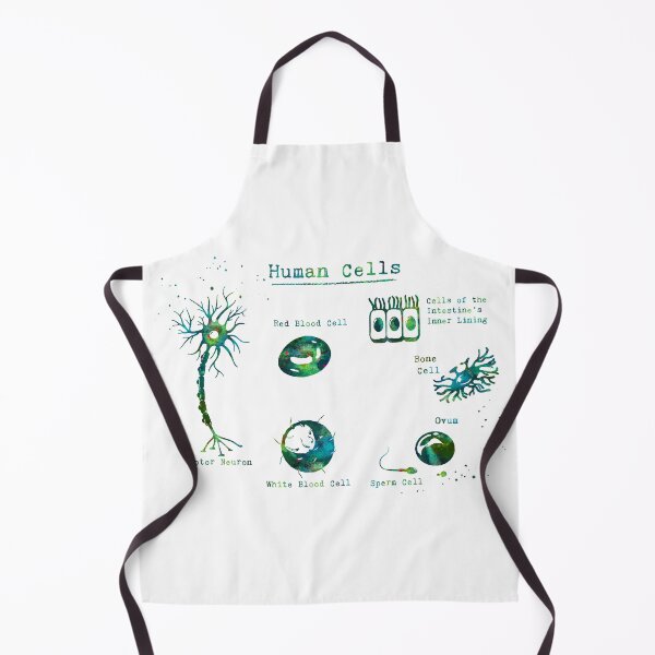 Item preview, Human Cell Types Anatomy designed and sold by EvasDreams.