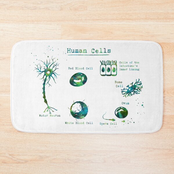 Item preview, Human Cell Types Anatomy designed and sold by EvasDreams.