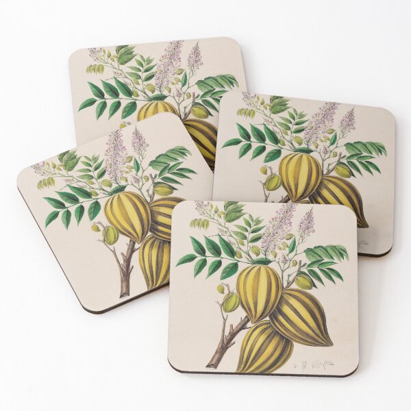 Item preview, Carambola Life Cycle designed and sold by NatureLand.