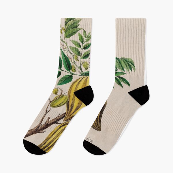 Item preview, Carambola Life Cycle designed and sold by NatureLand.