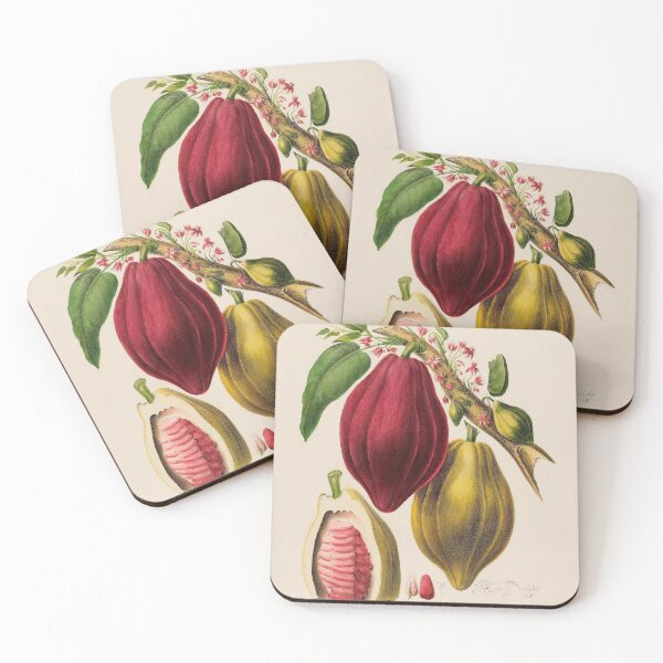 Item preview, Cocoa Beans Life Cycle designed and sold by NatureLand.