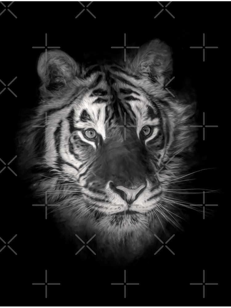 "Siberian Tiger in Black and White" Sticker for Sale by darby8 | Redbubble