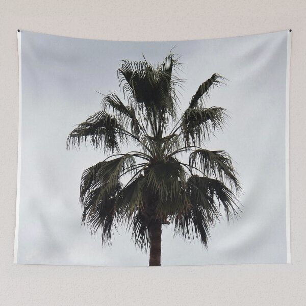 Item preview, A palm tree reaches for the sky designed and sold by rayscollection.