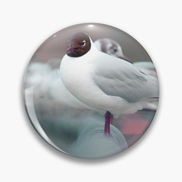 Item preview, Black headed gull designed and sold by bokehlein.