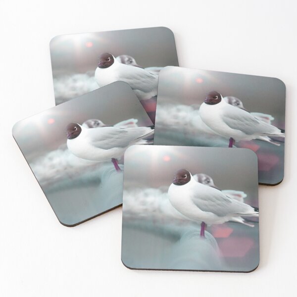 Item preview, Black headed gull designed and sold by bokehlein.