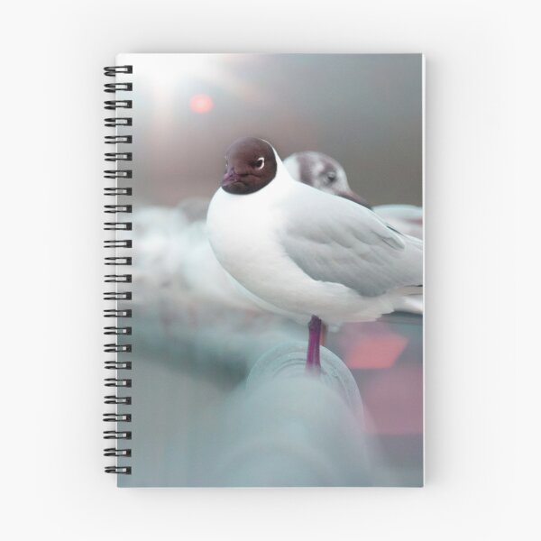 Item preview, Black headed gull designed and sold by bokehlein.