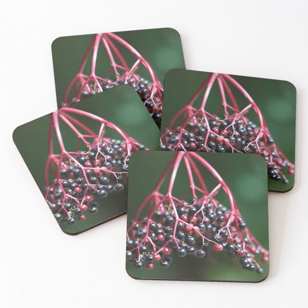 Item preview, Red and green. designed and sold by Paul Pasco.