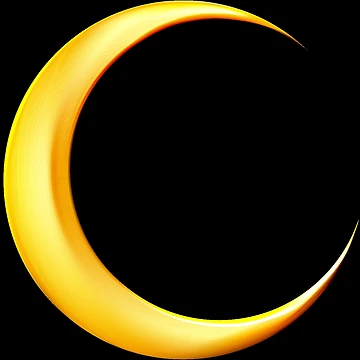 Artwork thumbnail, Moons by Roshan Keenoo