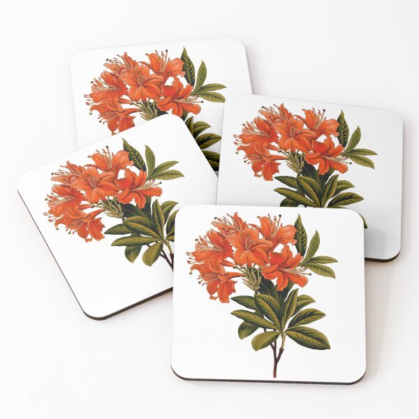 Item preview, St. John's Wort  Flower Plant Illustration T-Shirt designed and sold by Uday24.