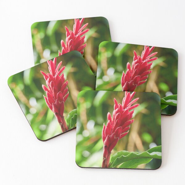Item preview, Burning in red flowers.Red ginger designed and sold by Jouko Lehto Photography.