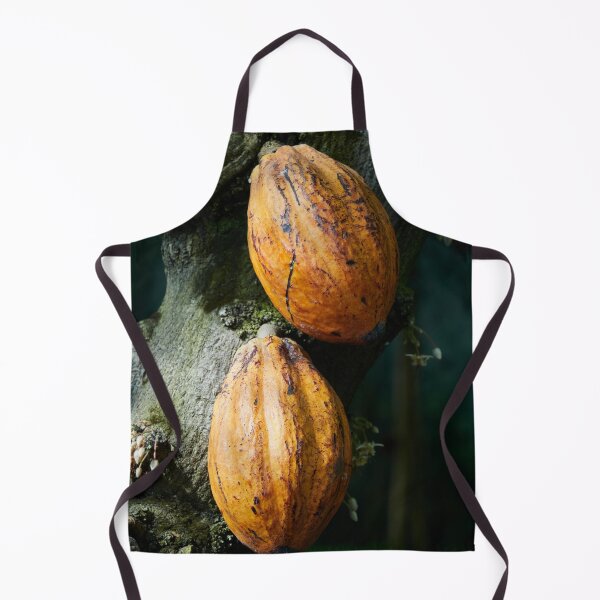 Item preview, Brown gold in nuts. Cacao tree designed and sold by Jouko Lehto Photography.