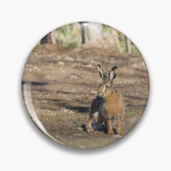 Item preview, Forest hare designed and sold by Irina777.