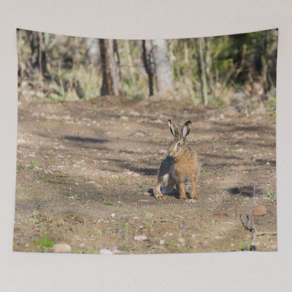 Item preview, Forest hare designed and sold by Irina777.