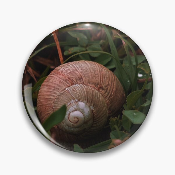 Item preview, Helix pomatia in the rain designed and sold by masked-ivan.