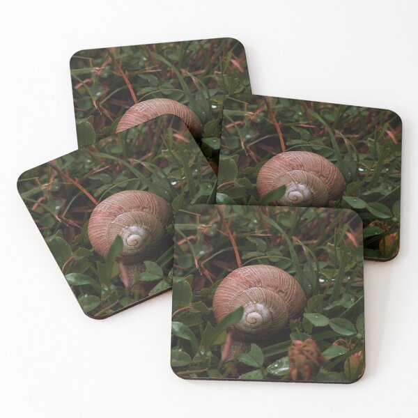 Item preview, Helix pomatia in the rain designed and sold by masked-ivan.