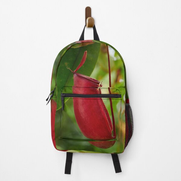 Item preview, Red pitcher. Tropical pitcher plant designed and sold by Jouko Lehto Photography.