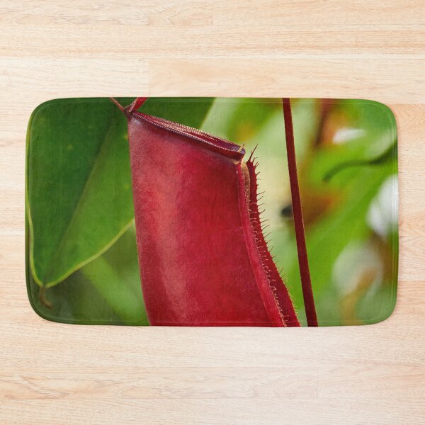 Item preview, Red pitcher. Tropical pitcher plant designed and sold by Jouko Lehto Photography.