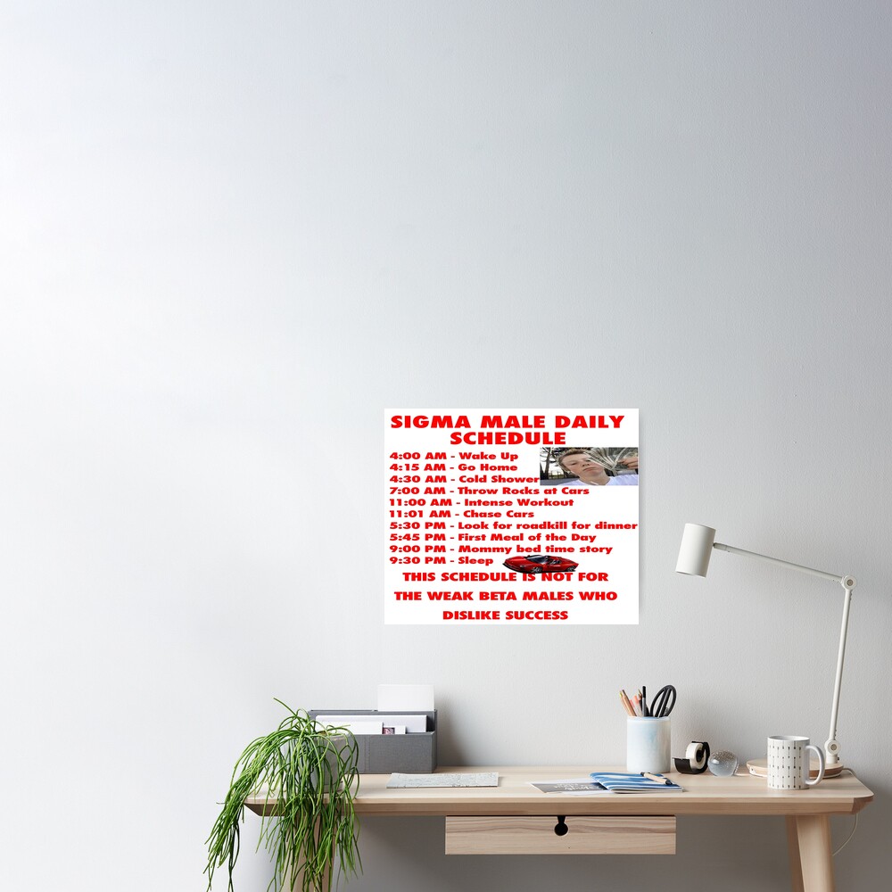 sigma-male-daily-schedule-poster-for-sale-by-benjayyee-redbubble