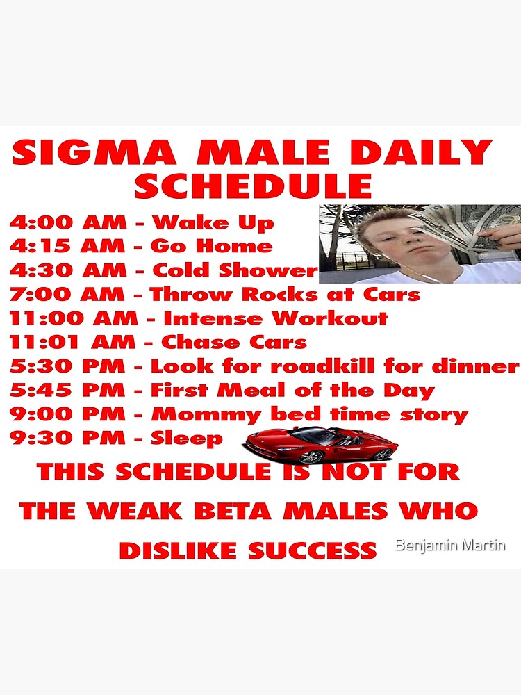 sigma-male-daily-schedule-photographic-print-for-sale-by-benjamin-martin-redbubble