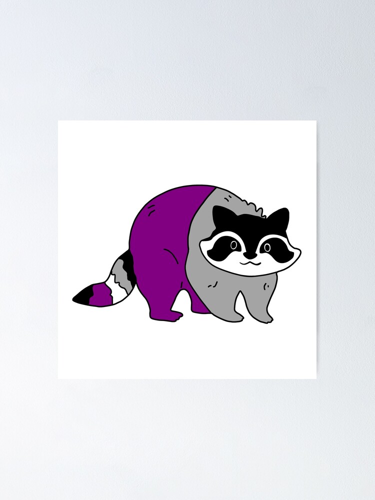 Subtle Asexual Raccoon Asexual Raccoon Poster By Tiredandbored Redbubble 6808