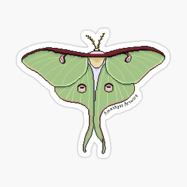 Luna moth sticker — ALPINE AYITA