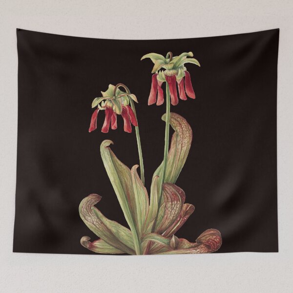 Item preview, Fantasy Parrot Pitcher Plant designed and sold by JoyforU.
