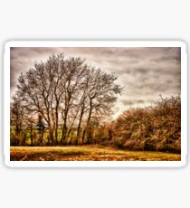 Countryside Ramblings Sticker