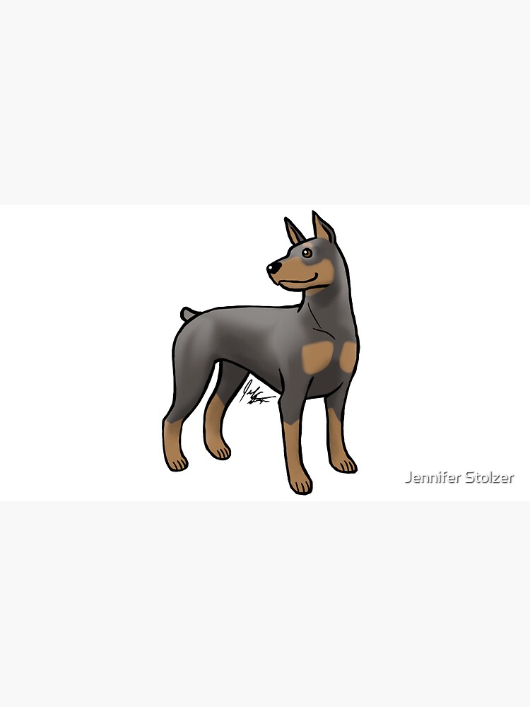 Pinscher - Blue and Tan by jameson9101322