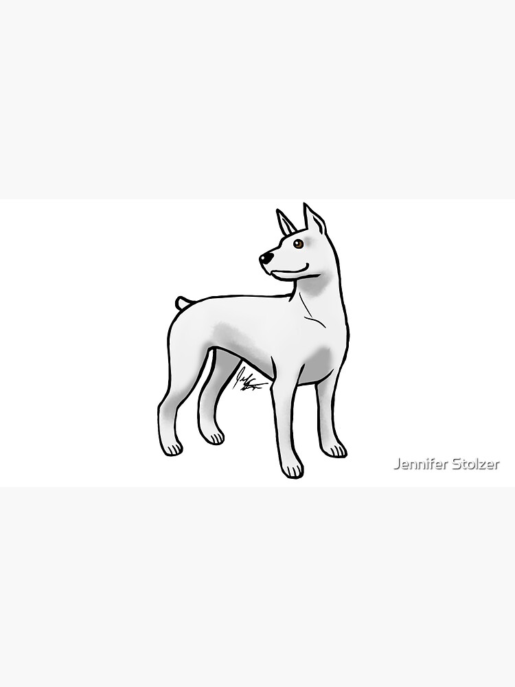 Doberman Pinscher - White by jameson9101322