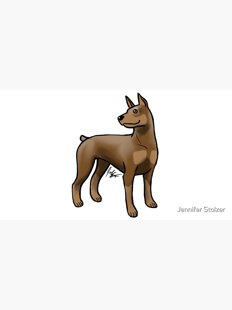 Doberman Pinscher - Brown and Tan by jameson9101322
