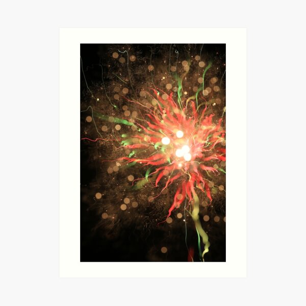 fireworks 10/9/16 Art Print