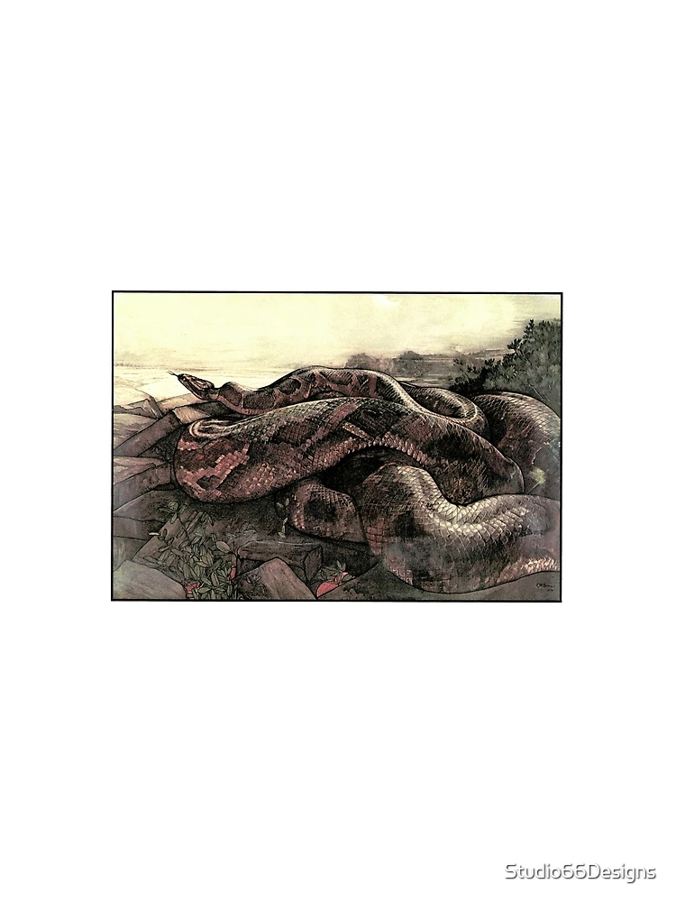 Thumbnail 3 of 3, Scarf, Big Python designed and sold by Studio66Designs.