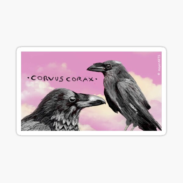 Item preview, Corvus Corax (raven) designed and sold by mayerarts.