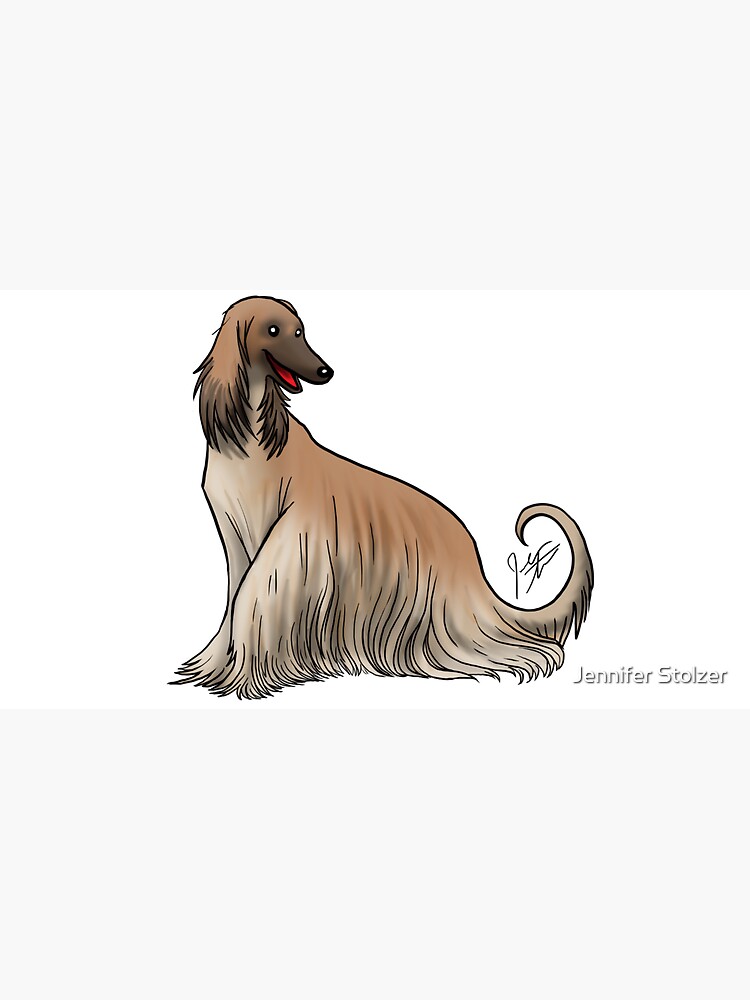 Afghan Hound - Red by jameson9101322