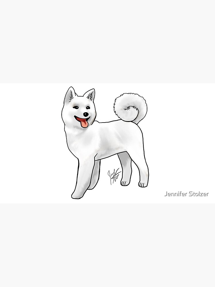 Akita - White by jameson9101322
