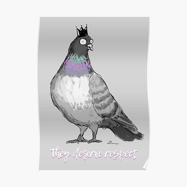 Respekttaube Poster