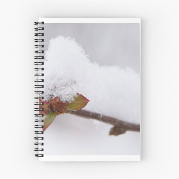 Item preview, Hope designed and sold by Ann Allerup.