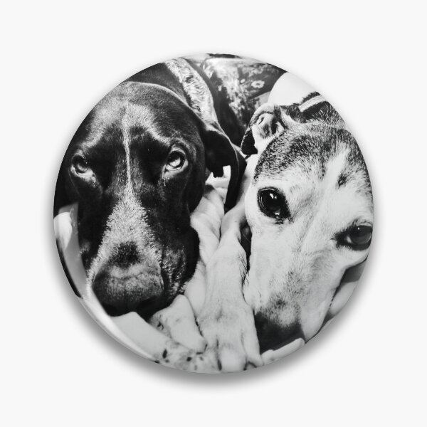 Item preview, Watching and waiting for my humans designed and sold by H  Schneiter.