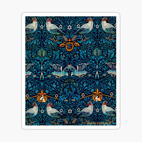 eye birds Pegatina