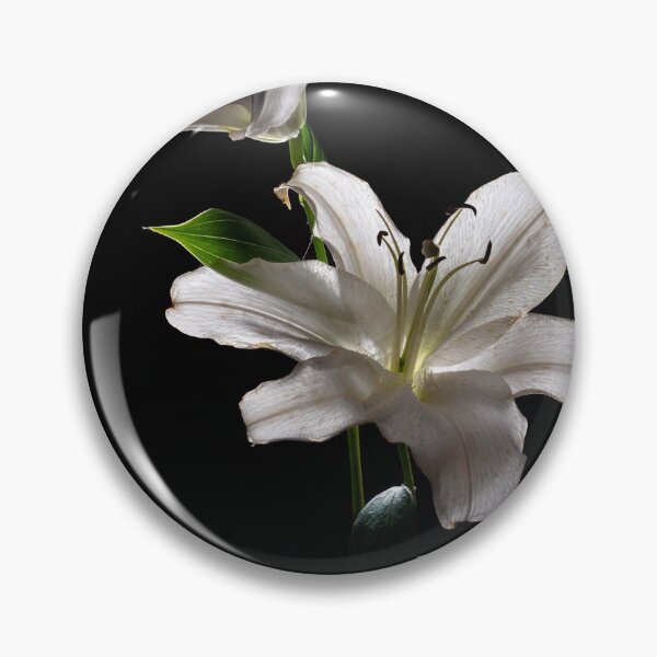 Item preview, White duet designed and sold by JBlaminsky.