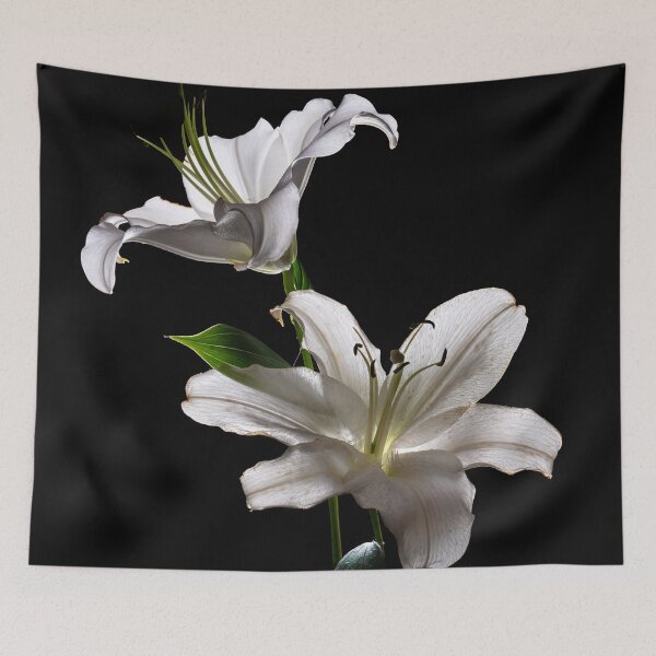 Item preview, White duet designed and sold by JBlaminsky.
