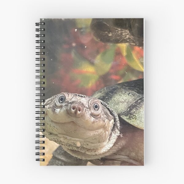 Item preview, Smiling Turtle designed and sold by Linda Sannuti.
